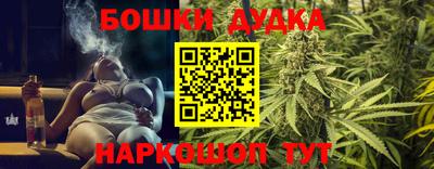 МДПВ Краснознаменск